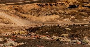 日本举办电竞比赛，本土作战特意提高奖金，不料被中国选手轻松夺冠